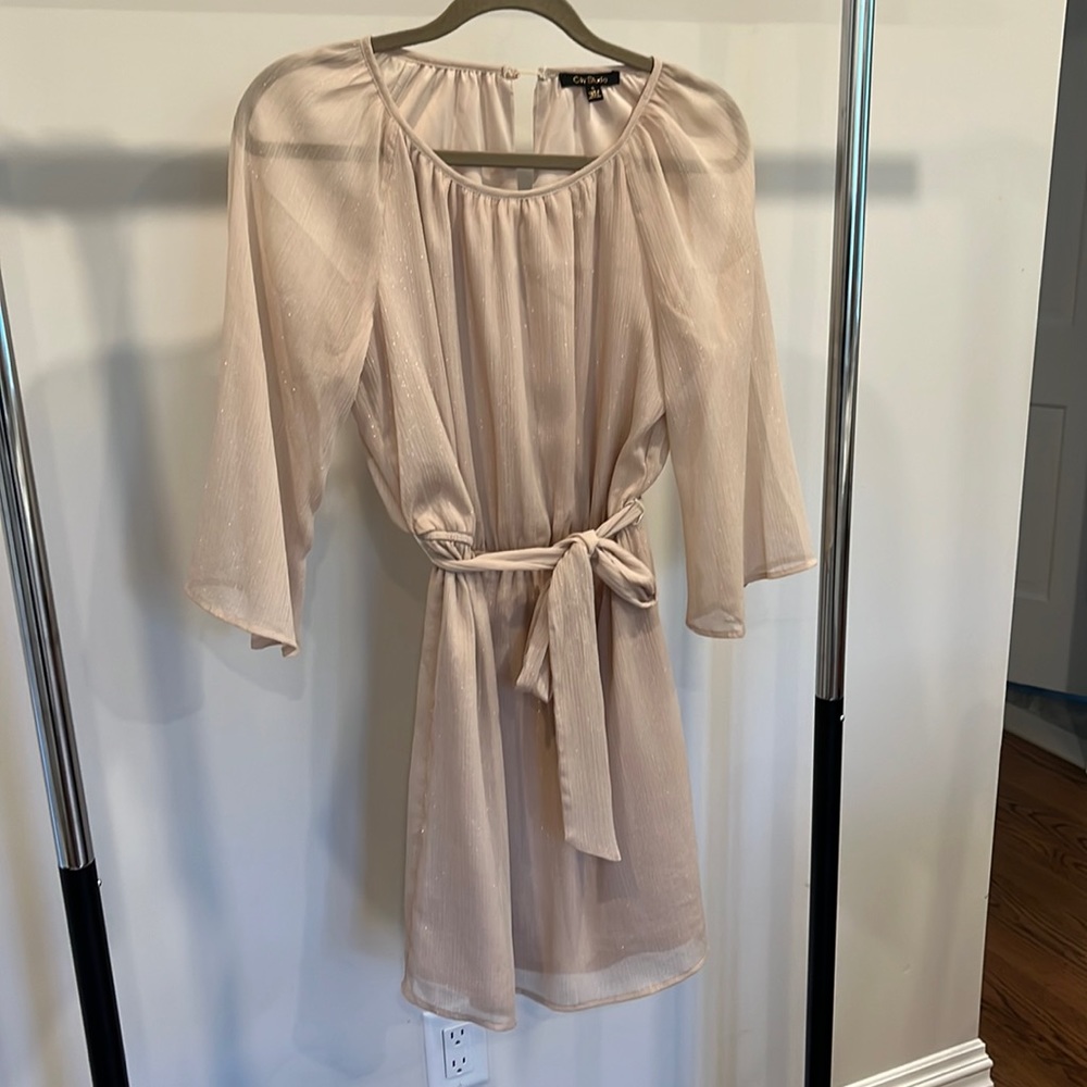 sparkley champagne holiday chiffon dress